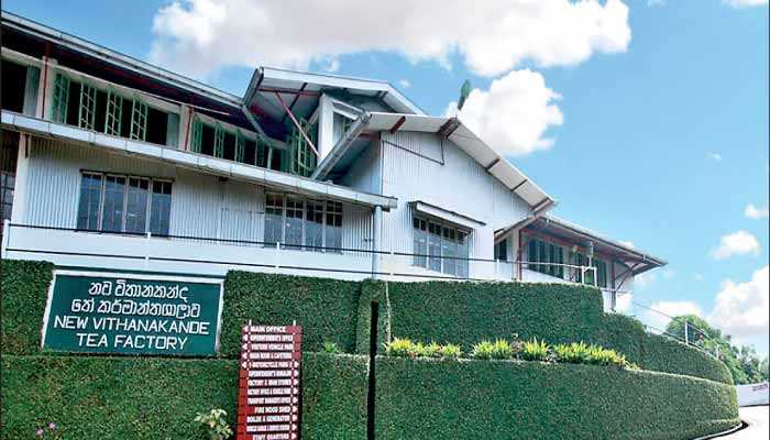 Ceylon Tea Breaks Guinness World Record